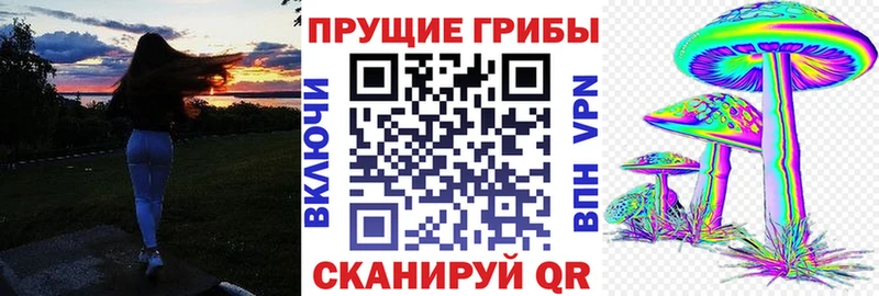 Псилоцибиновые грибы Psilocybe  сколько стоит  Кирово-Чепецк 